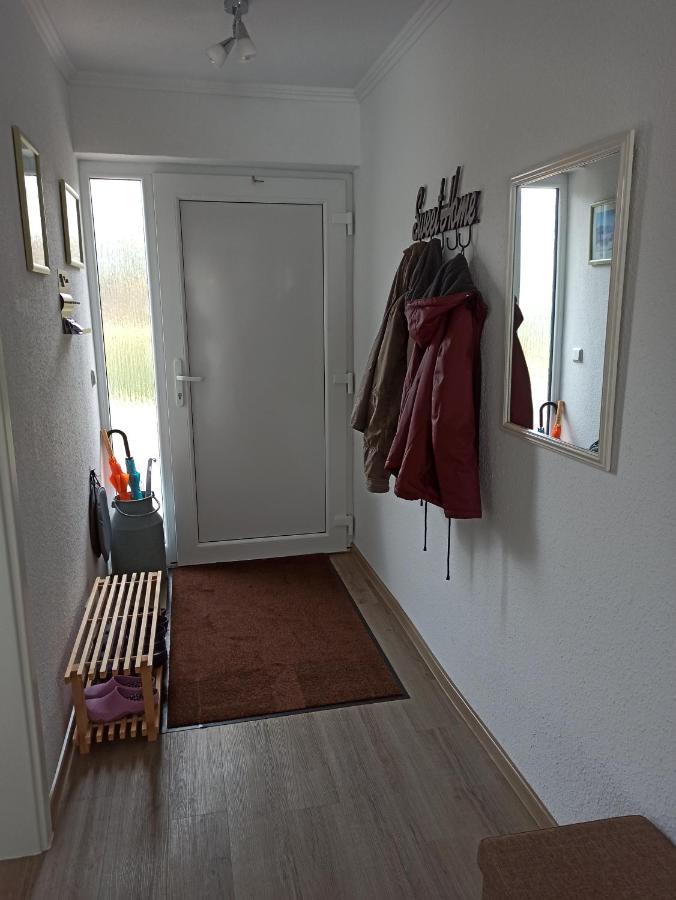 Loewenzahn