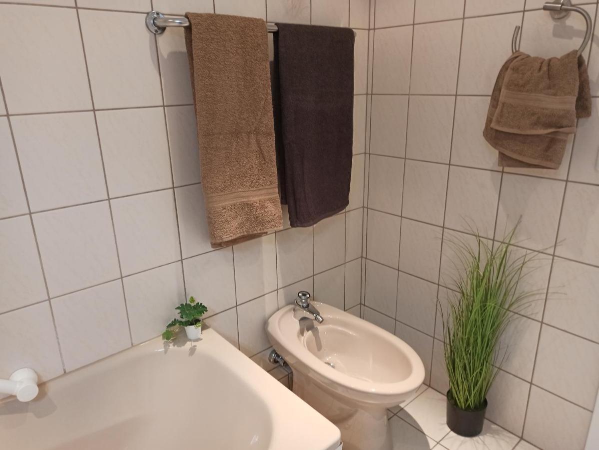 Loewenzahn *